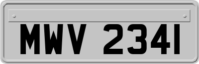 MWV2341