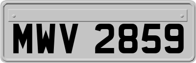 MWV2859