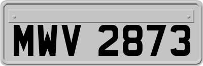 MWV2873