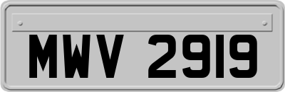 MWV2919