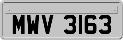 MWV3163