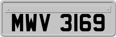 MWV3169