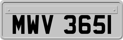 MWV3651