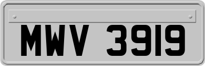 MWV3919