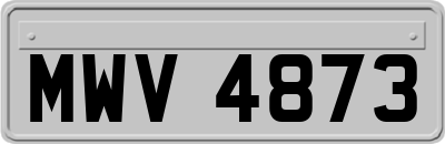 MWV4873
