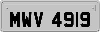 MWV4919