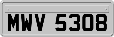 MWV5308