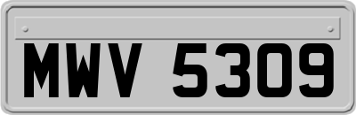 MWV5309
