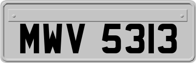 MWV5313