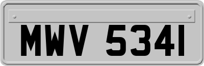 MWV5341
