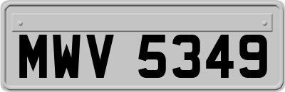 MWV5349