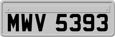 MWV5393