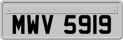 MWV5919