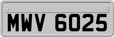 MWV6025