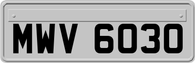 MWV6030