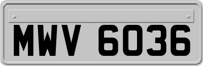 MWV6036