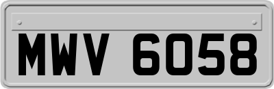 MWV6058