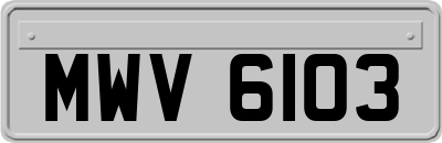 MWV6103