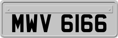 MWV6166