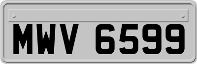 MWV6599