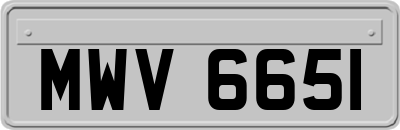 MWV6651