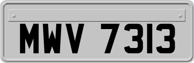 MWV7313
