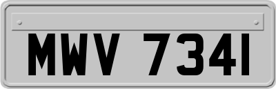 MWV7341