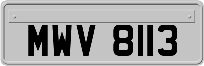 MWV8113