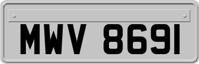 MWV8691
