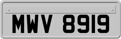 MWV8919