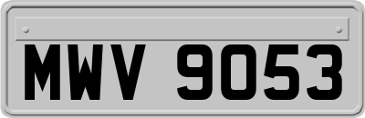 MWV9053