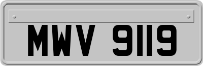 MWV9119