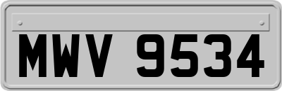 MWV9534