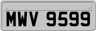 MWV9599