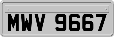 MWV9667