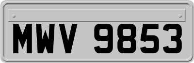 MWV9853