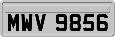 MWV9856