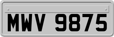 MWV9875