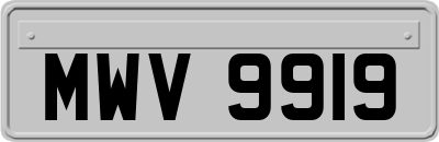 MWV9919