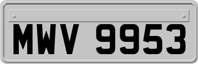 MWV9953