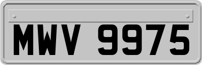 MWV9975