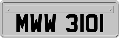 MWW3101