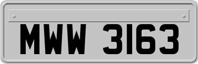 MWW3163