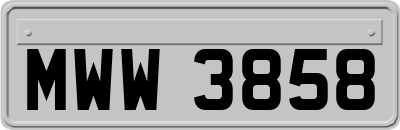 MWW3858