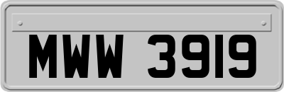 MWW3919