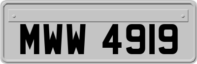 MWW4919