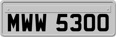 MWW5300