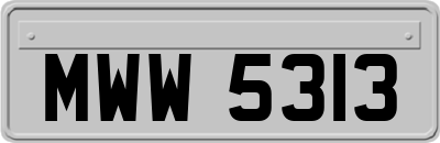 MWW5313