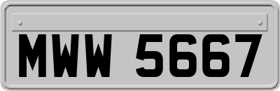 MWW5667