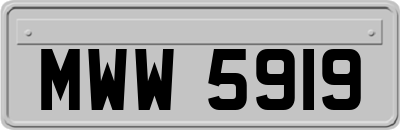 MWW5919